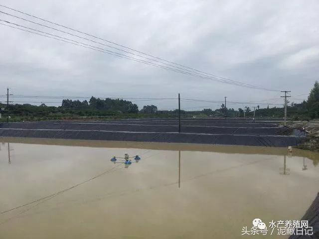 池塘老水怎么处理最好,池塘里漏水怎么办