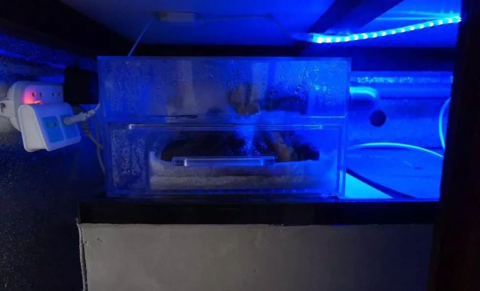 玩得细致、专业,出手不凡!