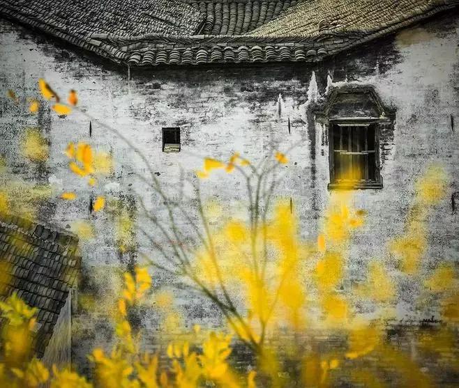 2018年等一个人陪我走川藏线,等一个人陪我去旅行