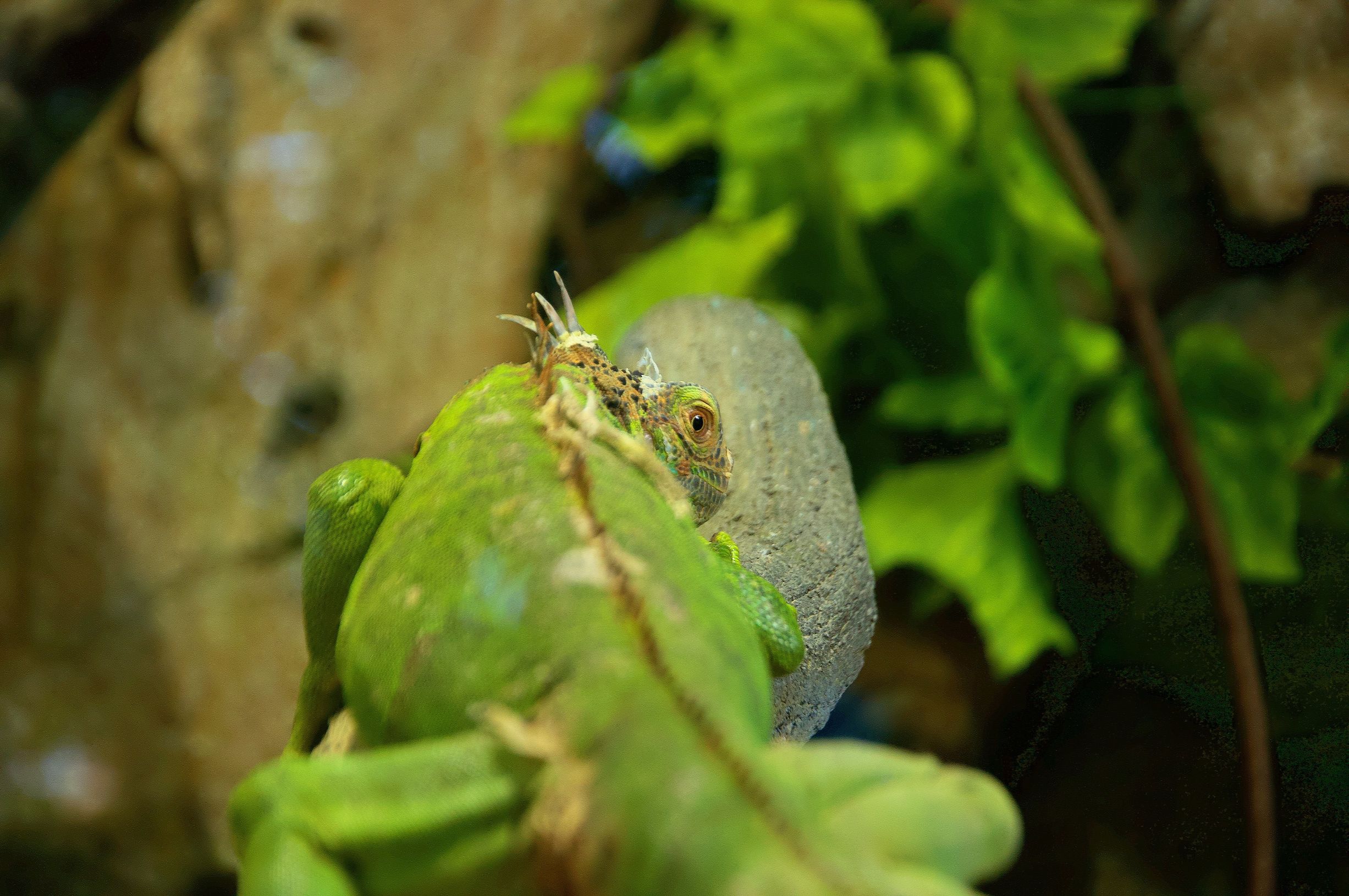 三亚4天3晚海景推荐,颠覆你对海南印象
