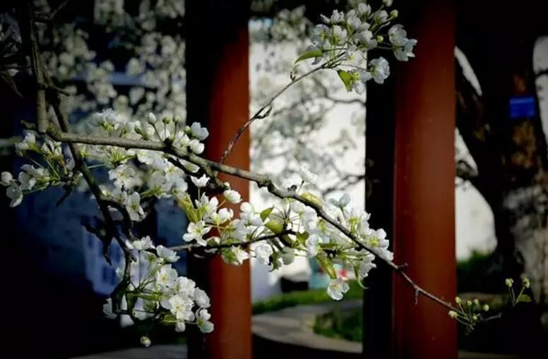 中国最牛的一个省会,中国最牛的一个县城