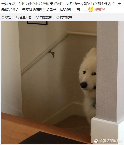 2017关键词失去 老公所剩无几了