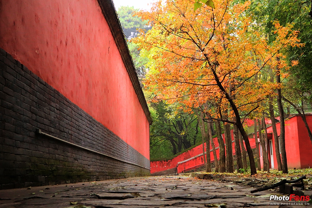 佳能eos800d摄影视频,佳能eos800d拍出来是黑白的