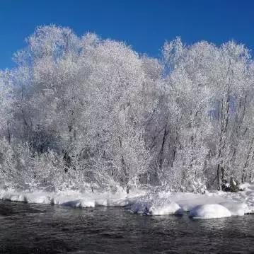 逊克雾凇美景,黑河市大平台雾凇旅游攻略
