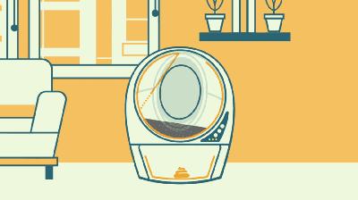 养猫如何不铲屎,什么猫不用铲屎呢