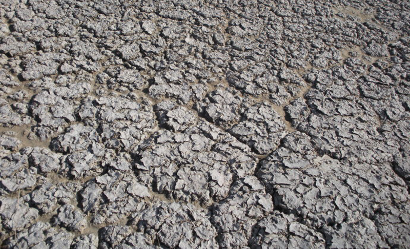节约肥料，提高产量，你离致富就差这一种技术