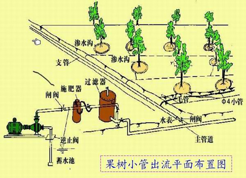 节约肥料，提高产量，你离致富就差这一种技术