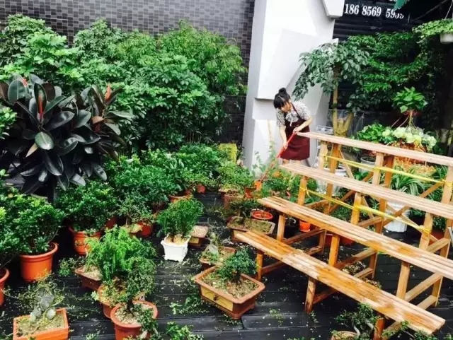 在贵州做个花房姑娘,打发慵懒时光!