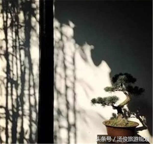 归园田居四个问题,归园田居深度解析