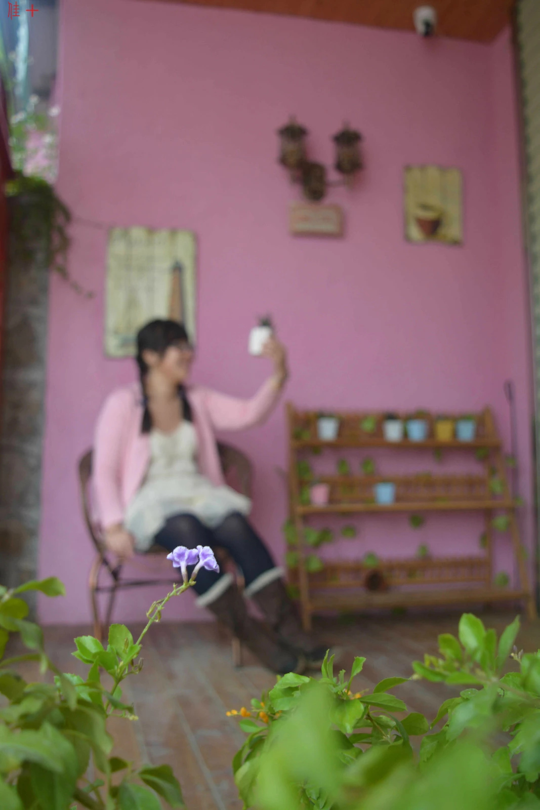 珠海市淇澳岛旅游攻略,珠海淇澳岛一日游攻略白石街