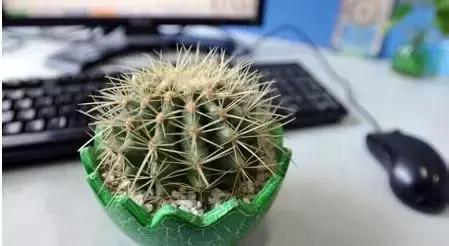 欺骗你多年的小知识终于找全了,保证让你看了不后悔的小知识