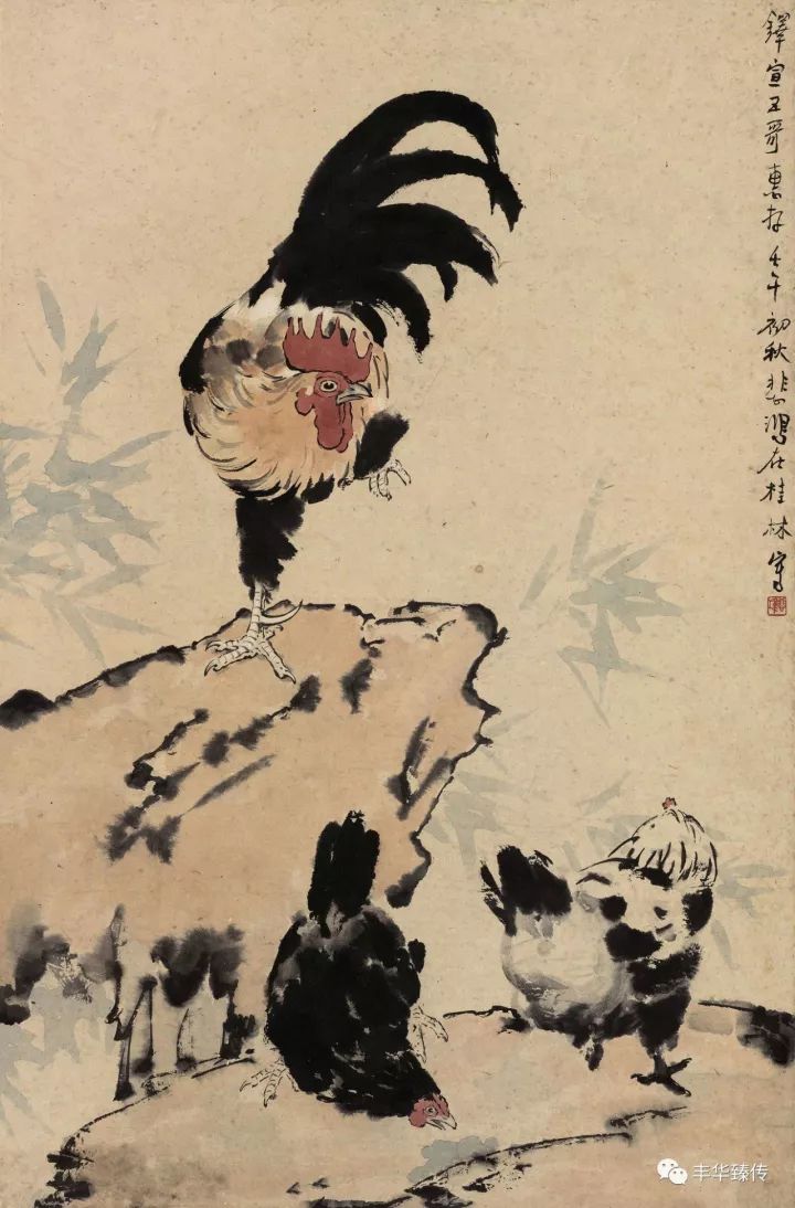 帽哥直播回放完整版最新,帽哥直播最新回放完整版