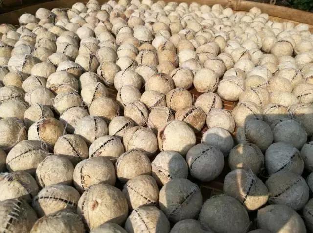 清远龙颈钟家村,龙颈镇钟家村