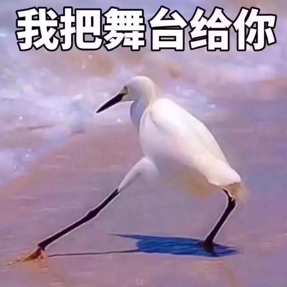 户外婚礼新郎创意出场方式,创意婚礼新郎出场方式有哪些