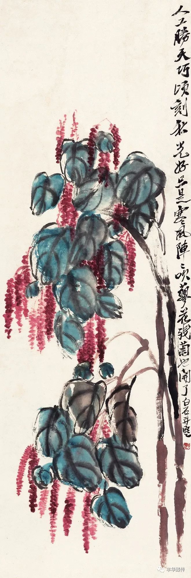 帽哥直播回放完整版最新,帽哥直播最新回放完整版