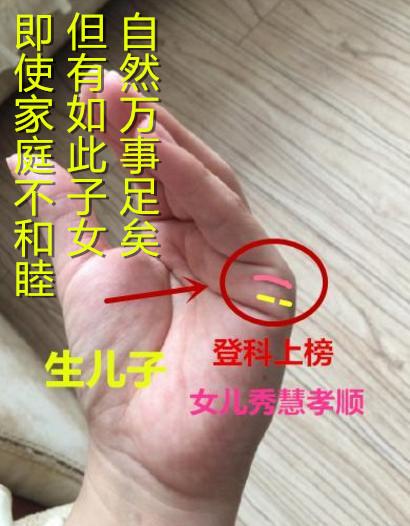 无论男女出此纹子女必定聪慧过人只是与母缘分薄，小不亲，大争吵