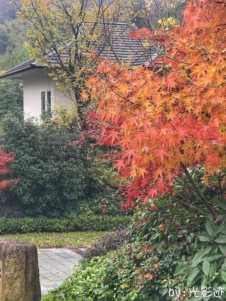 临安湍口众安温泉池,临安温泉湍口温泉测评