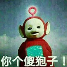 自助猫狗营养辅食,猫狗辅食食谱大全