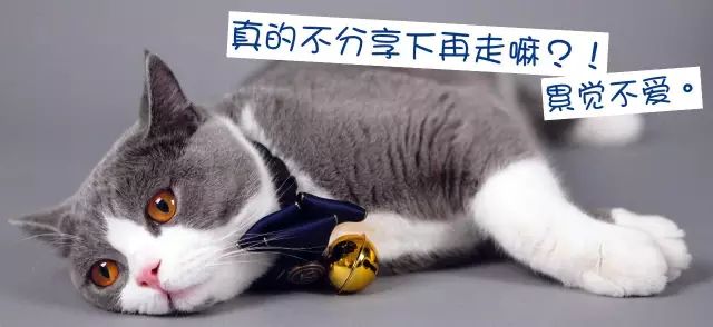 看到这些大牌新出的农历狗年限量款，我笑出了猪叫……