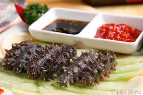 科普知识海参怎么吃最有营养,海参的营养功效与作用有什么