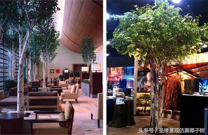 俄罗斯白桦树主要分布在哪里,白桦树俄罗斯酒