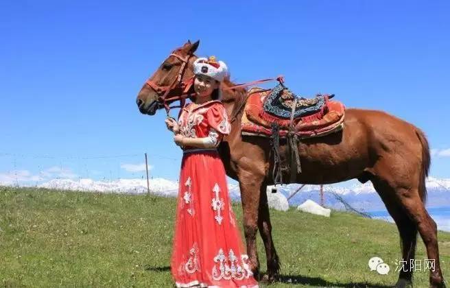 沈阳未来大项目规划,沈阳未来5年发展规划