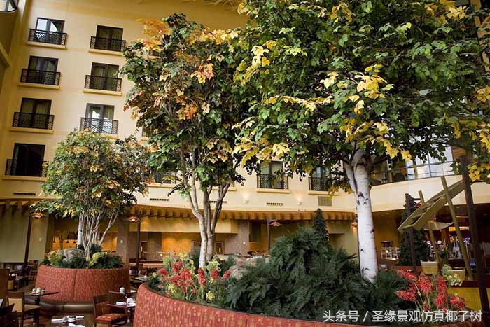 俄罗斯白桦树主要分布在哪里,白桦树俄罗斯酒