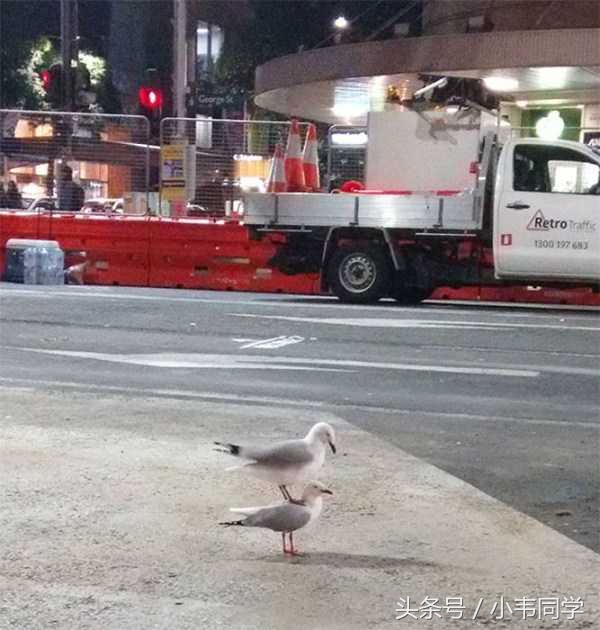 张家口手机台今日新闻,张家口晚间新闻