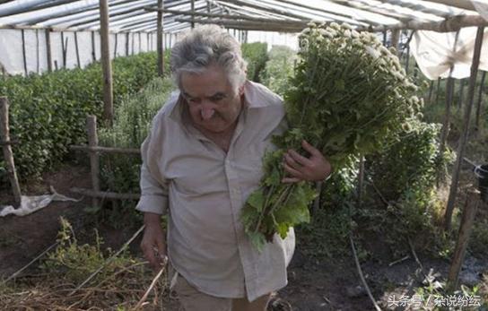 全球最穷总统退出政坛,世界上最穷的总统退休