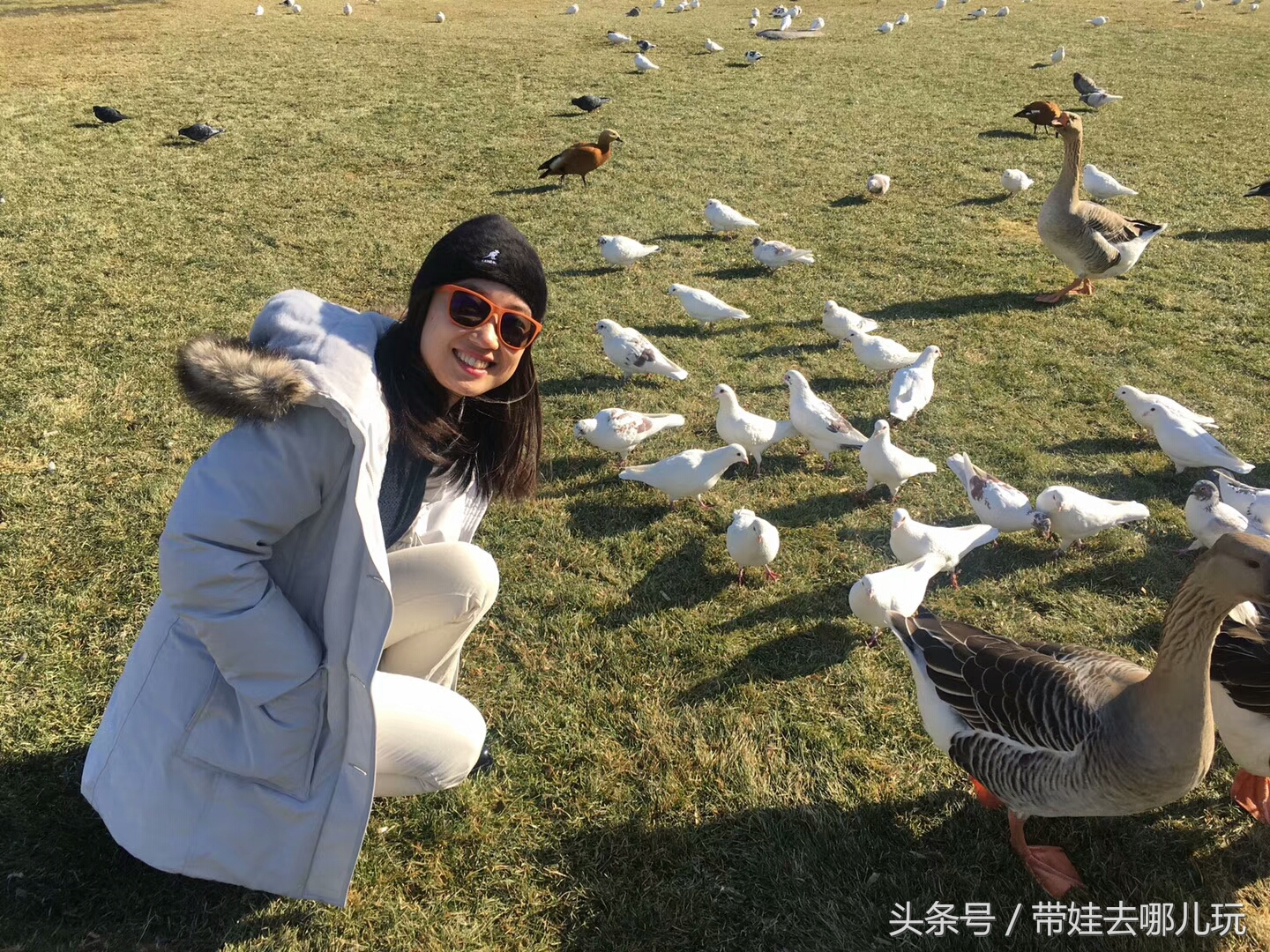 奥森附近小动物乐园,奥森公园世外桃源