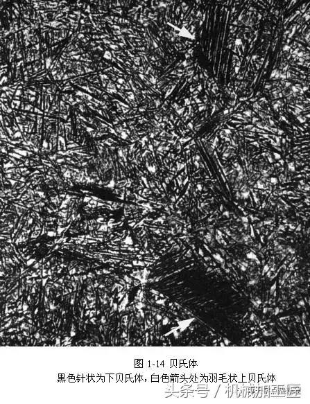 金相基础-辨识八种体