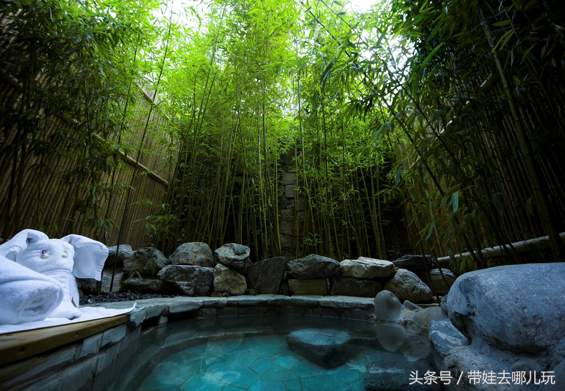 奥森附近小动物乐园,奥森公园世外桃源