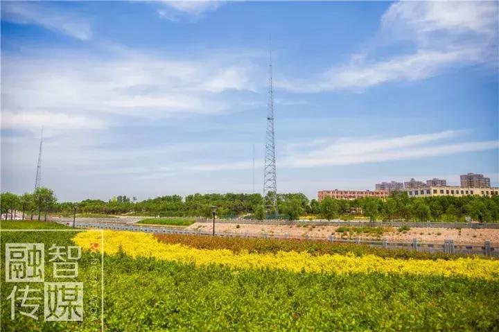 郑合高铁新线路图,郑合高铁周口最新项目