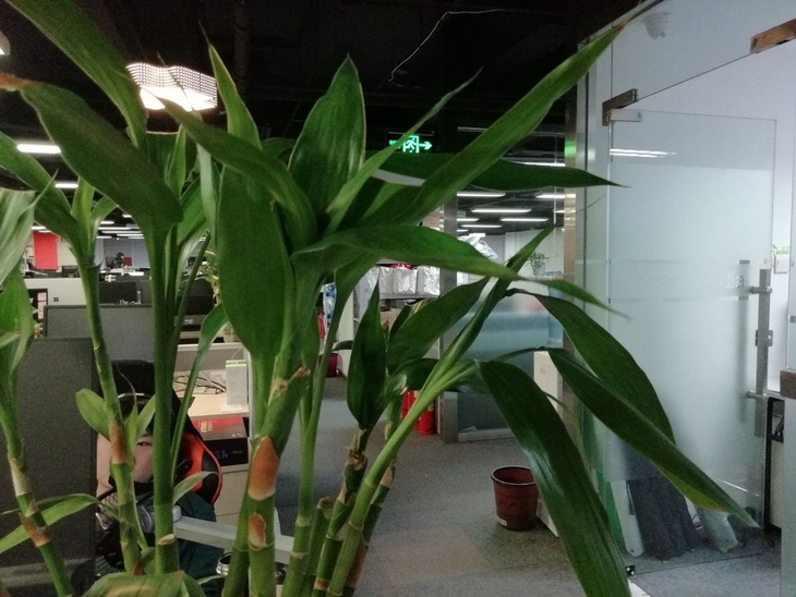 千元左右华为畅享系列手机推荐,华为千元性价比最高的手机畅享70