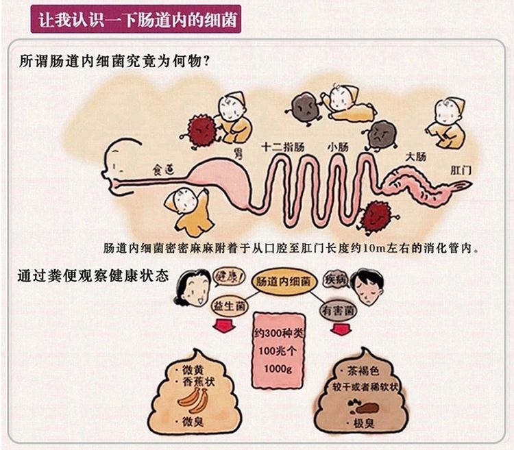 孩子不爱吃饭，我在纠结要不要喂益生菌！