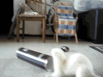 厕所串串是怎么吃的,厕所串串哪家最正宗