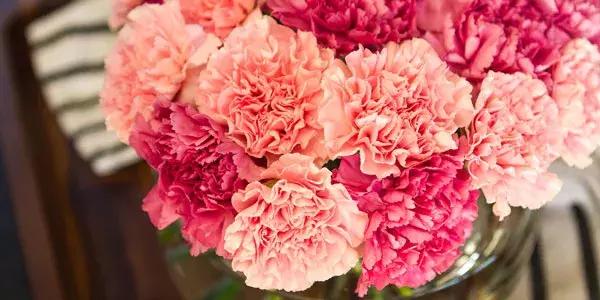 有寓意的花名英文名,有意义的花名英文