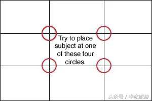 忘掉剪刀手吧！我偷师学艺来养你！