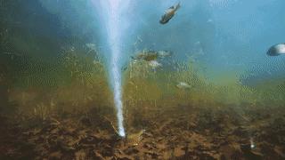 钓鱼工具越钓越多,钓鱼有用武器