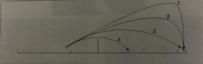正手上旋发球这样练进步更快,正手发球基础详细讲解