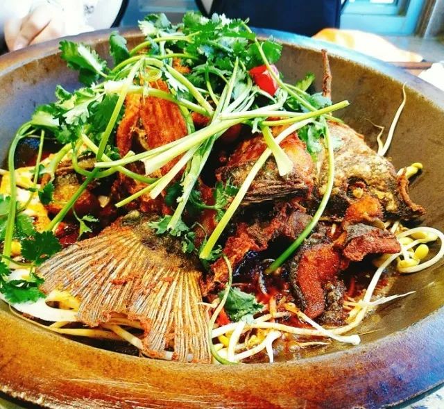 一条鱼在长春的8种死法！全城通缉作案人员