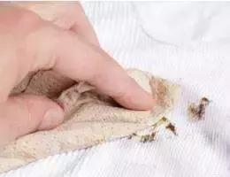 羊绒羊毛衫洗护小知识,生活小妙招羊绒衣清洗视频