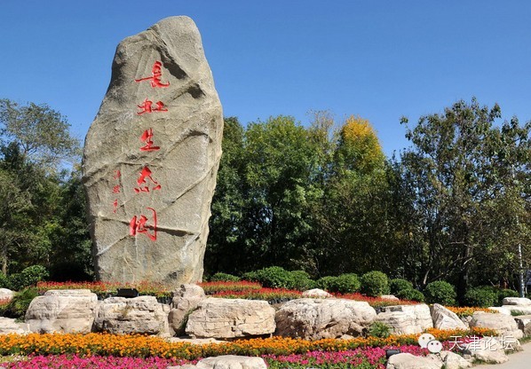 天津最值得去的公园排名榜前十,天津津南区值得游玩的公园