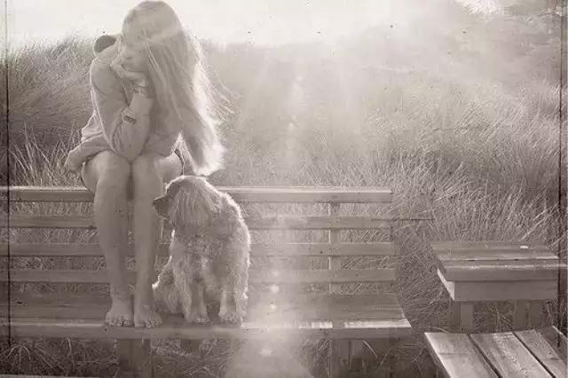 因为害怕失去你所以失态了,因为害怕失去所以不敢养狗