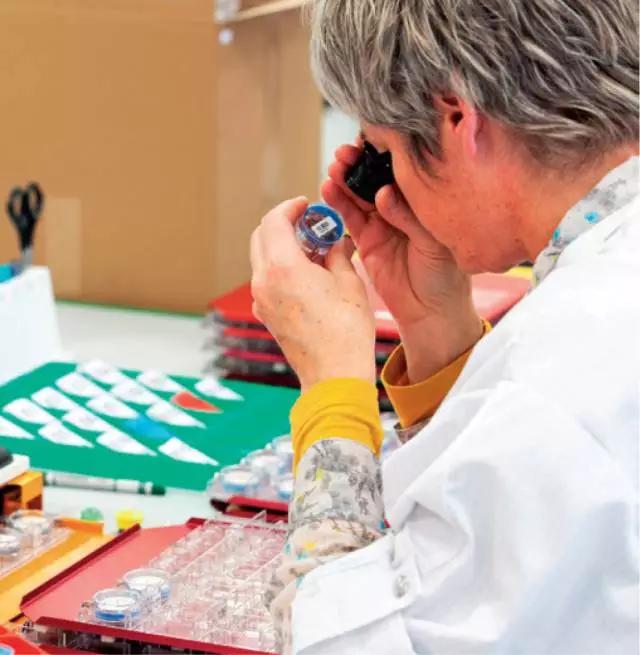 它真的这么好吗？揭揭COSC认证的老底！