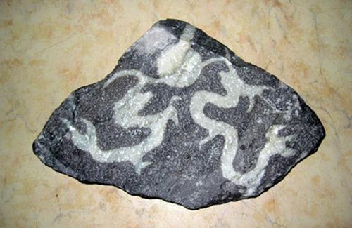 真正的奇石一般在哪里,真正的奇石是怎么样的