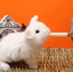 冬天这么冷就多互相温暖吧,冬天这么冷我们互相取暖