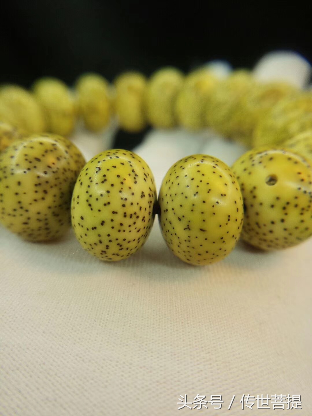 极品16*11黄金苹果圆手串，黑星老料小细星表面无连星完美无瑕