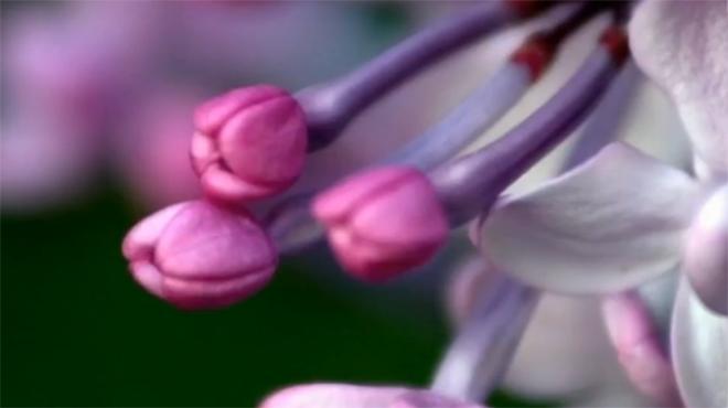 胃脘凉痛用什么药方,胃脘凉痛中医辨证