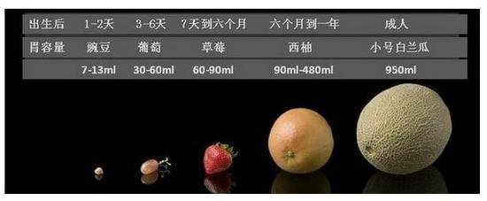 宝宝是如何出生的视频,宝宝是如何出生的动画短片